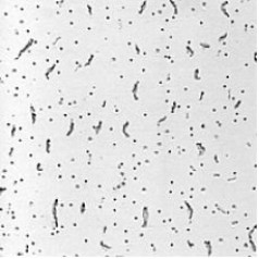 АМФ Тренто, 600х600х13 мм, подвесной потолок АМФ Тренто, 600х600х13 мм, подвесной потолок